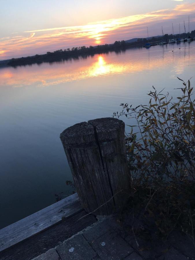 Ferienwohnung Fraenkisches Seenland - Fewo Antje Mitteleschenbach Esterno foto